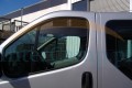 vivaro.jpg