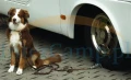 99313.webp