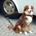 43999313-1.webp