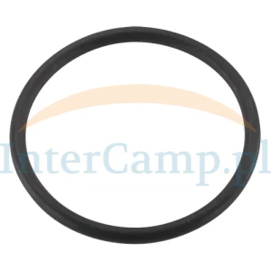 Uszczelka 38x3 Truma Ultrastore O-Ring 38 x 3