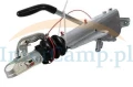 image (8).webp