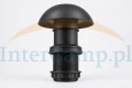 content (23).webp