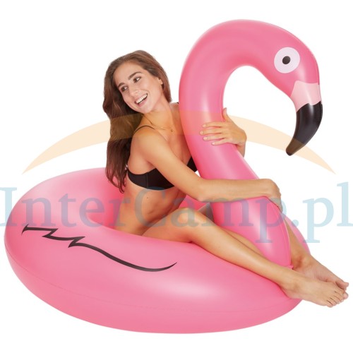 98c3769c3914961b1359d7ec8fba7c98