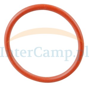 Uszczelka O-Ring 22 x 2 mm pieca Truma E 2400 Varioheat oring 22x2